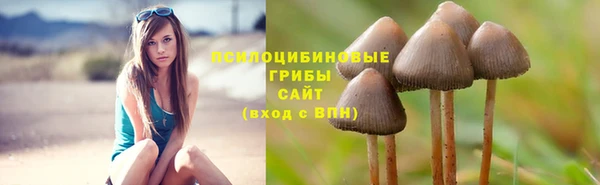 ПСИЛОЦИБИНОВЫЕ ГРИБЫ Бронницы